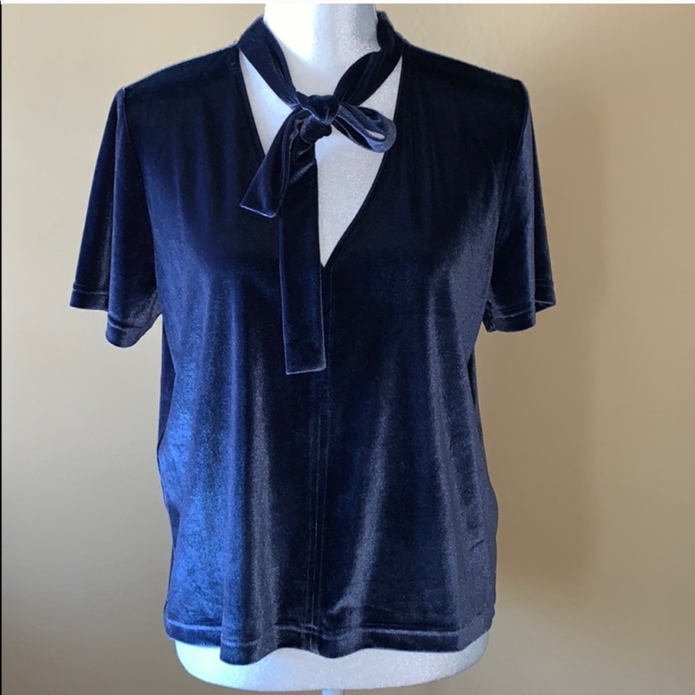 MADEWELL Medium Velvet Tie-neck Top